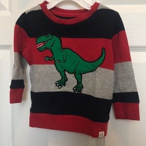 Sweatshirt Dinosaur